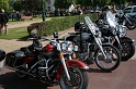 rally 2009 390